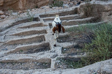 گور دخمه سیراف (دره لیر)