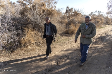 خشکسالی و کمبود آب در مناطق زراعی کاشان