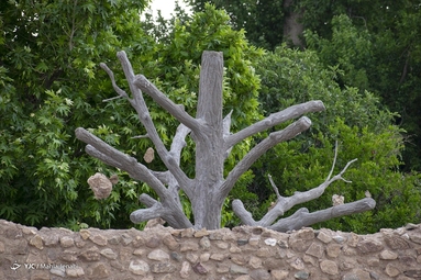 گوشواره های سنگی درختان (باغ سنگی سیرجان) - کرمان