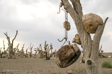 گوشواره های سنگی درختان (باغ سنگی سیرجان) - کرمان