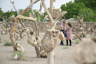 گوشواره های سنگی درختان (باغ سنگی سیرجان) - کرمان