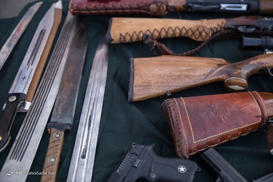 هفتمین مرحله از طرح اقتدار پلیس