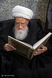 مرحوم آیت الله شیخ لطف‌الله صافی گلپایگانی