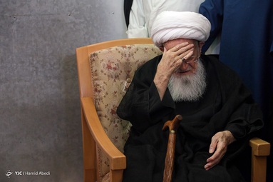 مرحوم آیت الله شیخ لطف‌الله صافی گلپایگانی