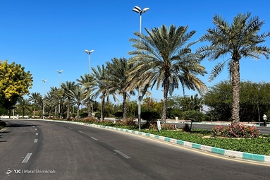 هوای بهاری در زمستان کیش