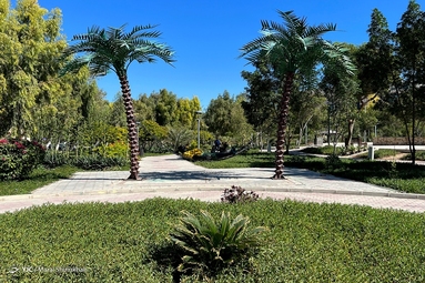 هوای بهاری در زمستان کیش