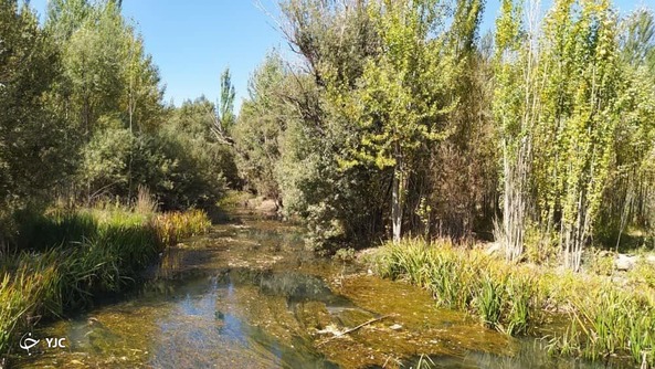 تابستان