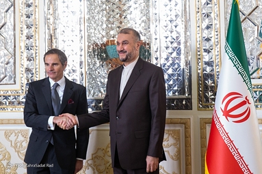 دیدار رافائل گروسی با وزیر امور خارجه