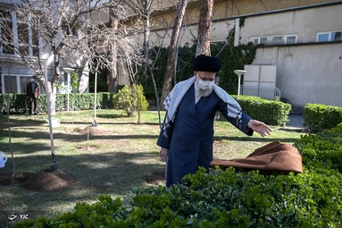 کاشت نهال توسط «مقام معظم رهبری»