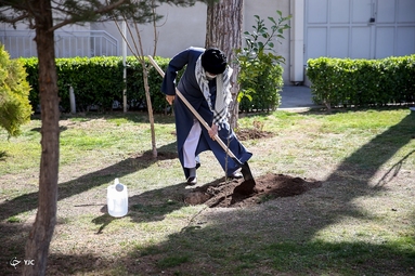 کاشت نهال توسط «مقام معظم رهبری»