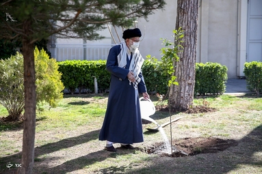 کاشت نهال توسط «مقام معظم رهبری»