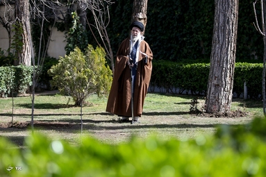 کاشت نهال توسط «مقام معظم رهبری»