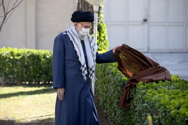 کاشت نهال توسط «مقام معظم رهبری»