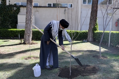 کاشت نهال توسط «مقام معظم رهبری»