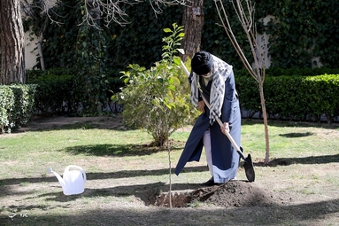 کاشت نهال توسط «مقام معظم رهبری»