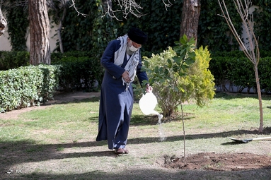 کاشت نهال توسط «مقام معظم رهبری»
