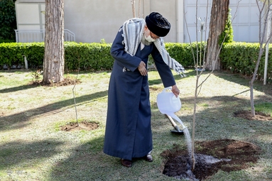 کاشت نهال توسط «مقام معظم رهبری»