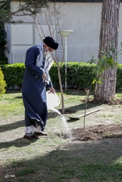 کاشت نهال توسط «مقام معظم رهبری»
