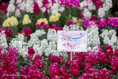 جشنواره گل های بهاری - اصفهان
