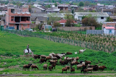 خانه تکانی روستایی در آستانه نوروز
