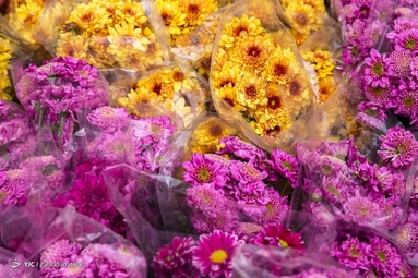 بازار گل محلاتی در آستانه‌ی سال نو