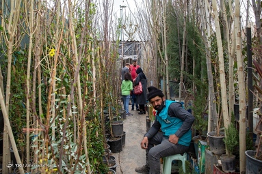 بازار گل محلاتی در آستانه‌ی سال نو