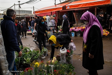 بازار گل محلاتی در آستانه‌ی سال نو