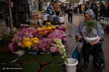 بازار گل محلاتی در آستانه‌ی سال نو