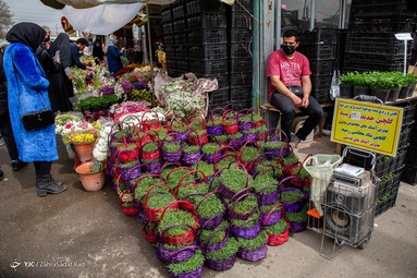 بازار گل محلاتی در آستانه‌ی سال نو