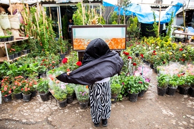 بازار گل محلاتی در آستانه‌ی سال نو