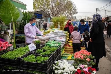 بازار گل محلاتی در آستانه‌ی سال نو