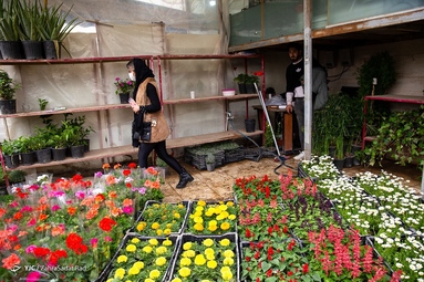 بازار گل محلاتی در آستانه‌ی سال نو