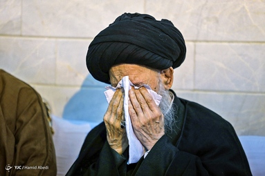 مرحوم آیت‌الله‌ «سیدمحمدعلی علوی گرگانی»