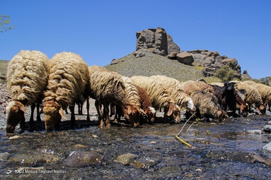 روستای تاریخی عنبران علیای نمین – اردبیل