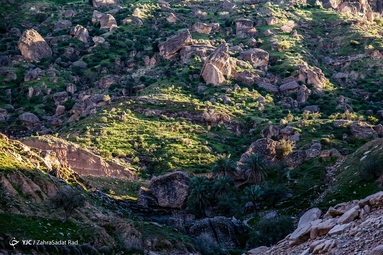 طبيعت زیبای روستای پامنار - دزفول