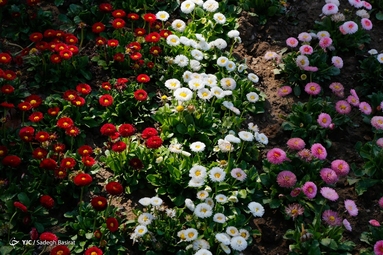 باغ گل ها - اصفهان