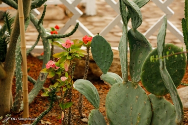 باغ گل ها - اصفهان