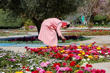 باغ گل ها - اصفهان
