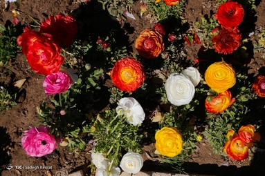 باغ گل ها - اصفهان