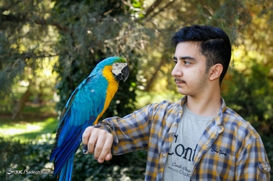 باغ گل ها - اصفهان
