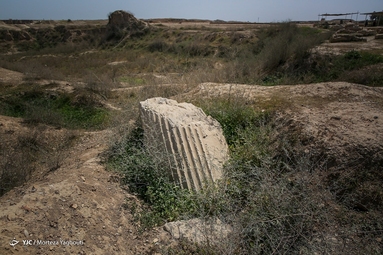 کاخ آپادانا و چغازنبیل