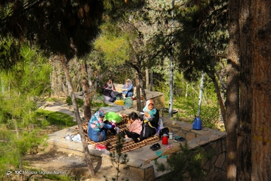 روز طبیعت - تهران