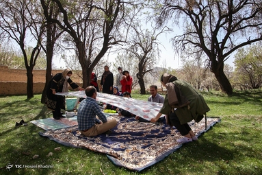 سیزدهم فروردین، روز طبیعت - انجدان