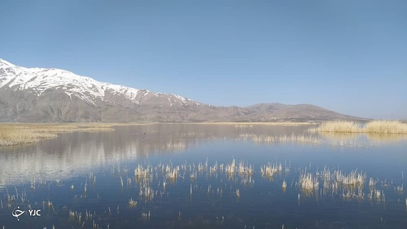 تالاب بین المللی گندمان