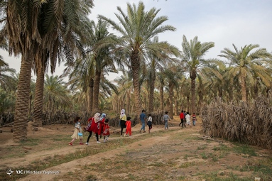برگزاری آیین سنتی گرگیعان به مناسبت نیمه رمضان در روستای علوه از توابع اهواز - خوزستان