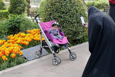 بوستان باغ ایرانی یکی از زیباترین جاذبه‌های گردشگری در محله ده ونک تهران است