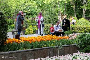 بوستان باغ ایرانی یکی از زیباترین جاذبه‌های گردشگری در محله ده ونک تهران است