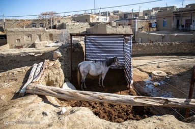 روستای «دویدوخ» در استان خراسان شمالی، خواستگاه یکی از انواع نفیس‌ترین فرش‌های ایرانی است