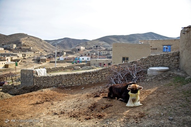 روستای «دویدوخ» در استان خراسان شمالی، خواستگاه یکی از انواع نفیس‌ترین فرش‌های ایرانی است