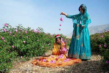 جشنواره گل و گلاب میمند - استان فارس